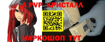 СК Тверь