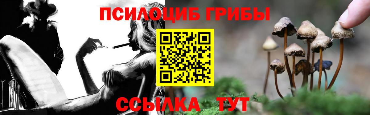 Галлюциногенные грибы Psilocybine cubensis Нефтекамск